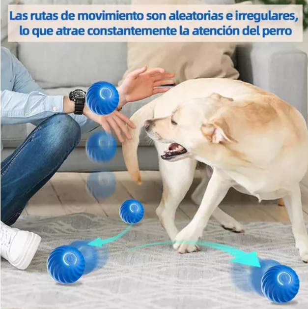 Pelota Inteligente para Mascotas